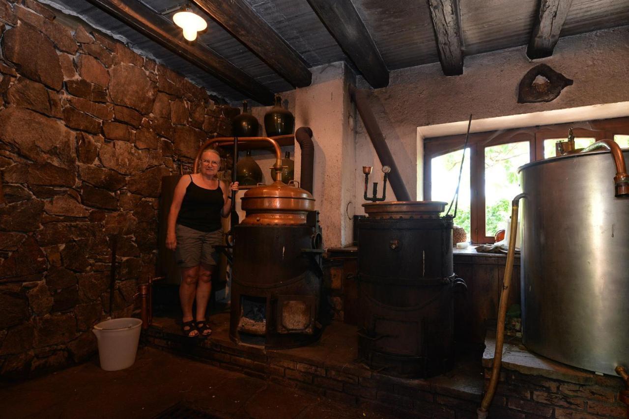 S'Harzala Vert bis Bergheim Exterior foto